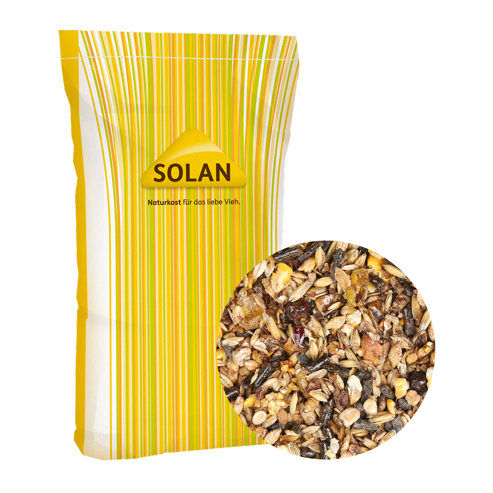SOLAN 84 Power