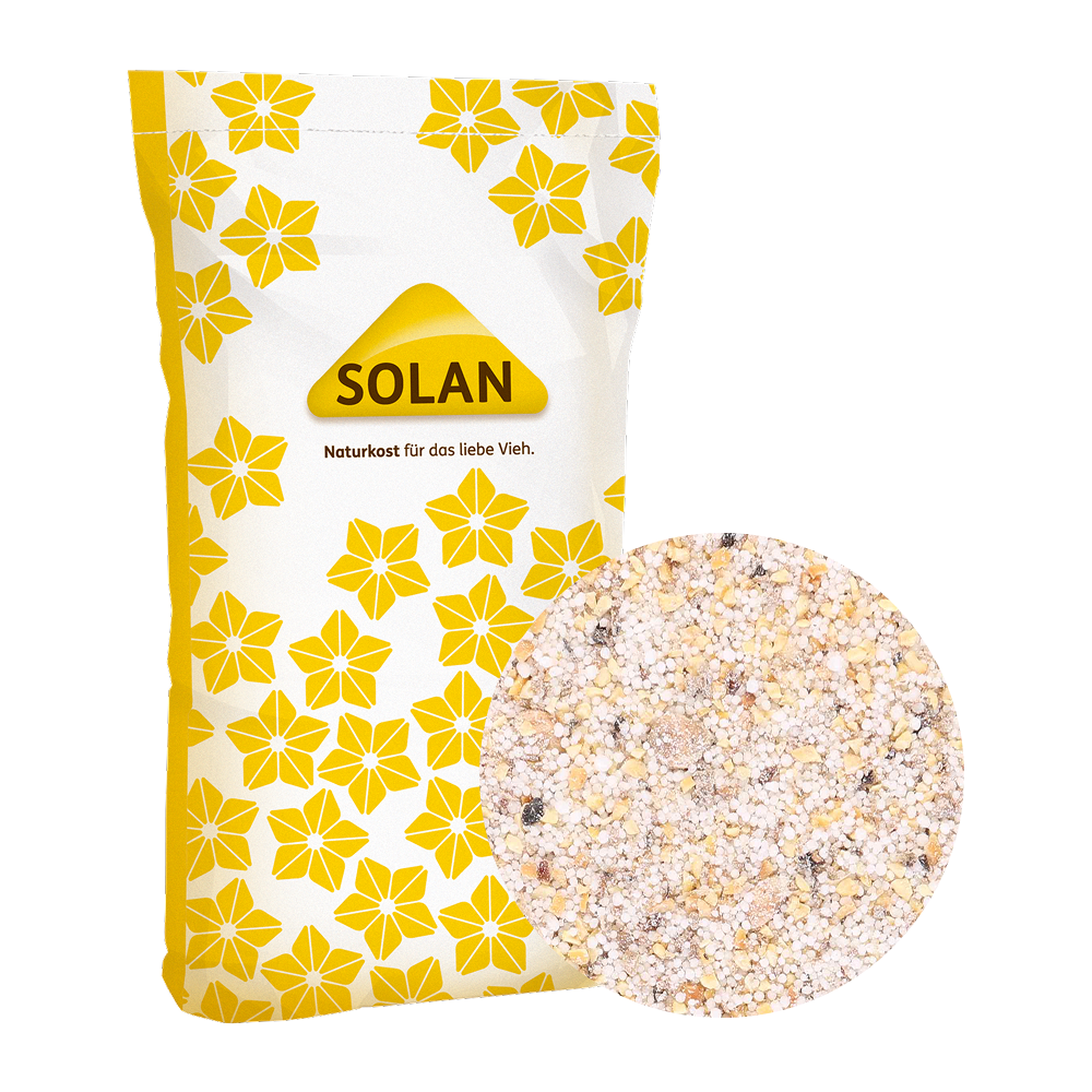 SOLAN 655 Power Protect