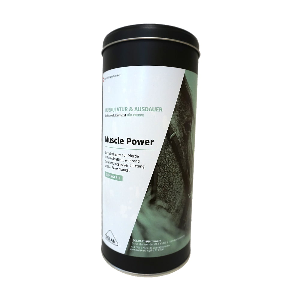 Muscle Power