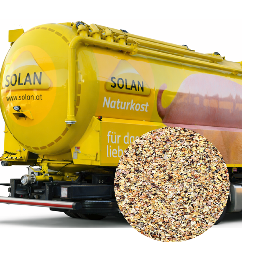 SOLAN 1235H Rindermast Ruminal 35