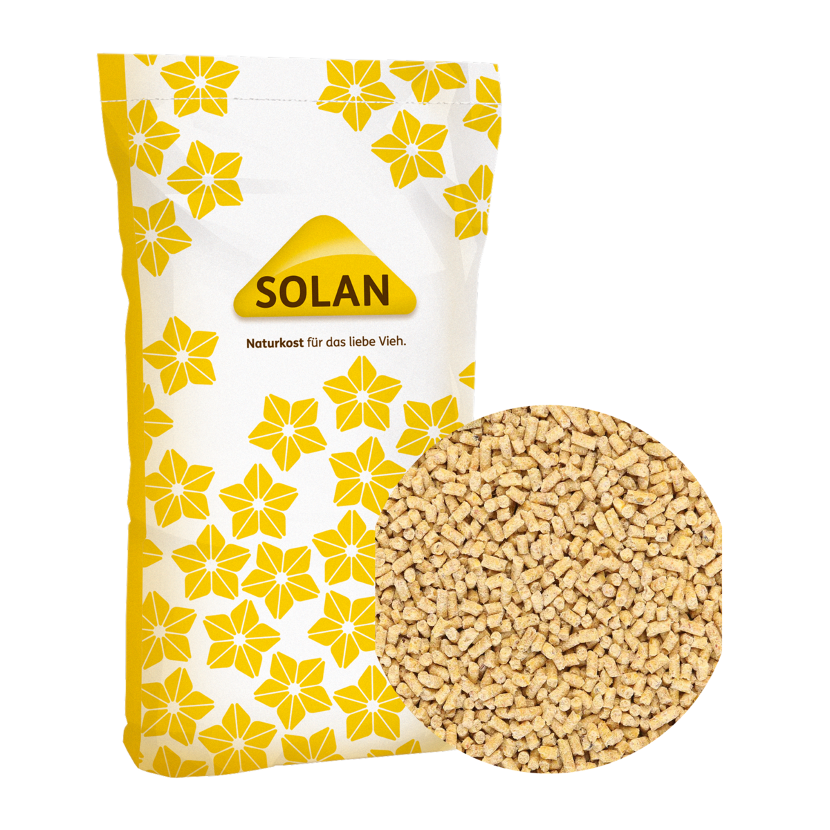 SOLAN 2