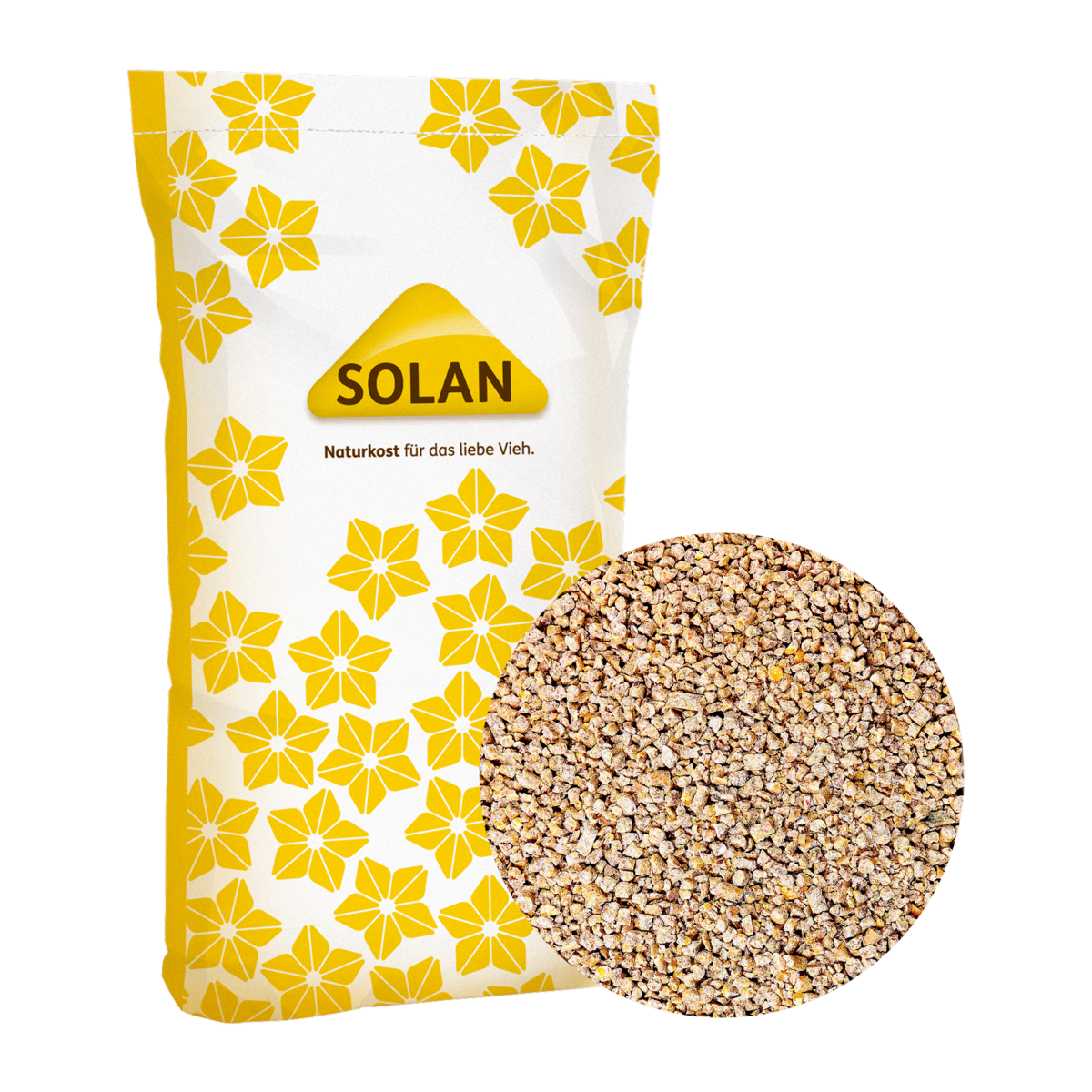 SOLAN 22
