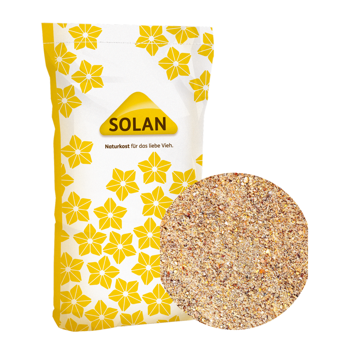 SOLAN 31