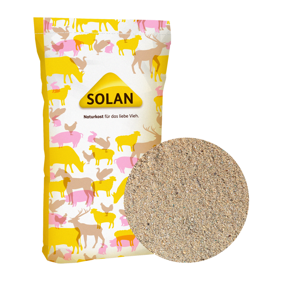 SOLAN 244B PiggySafe