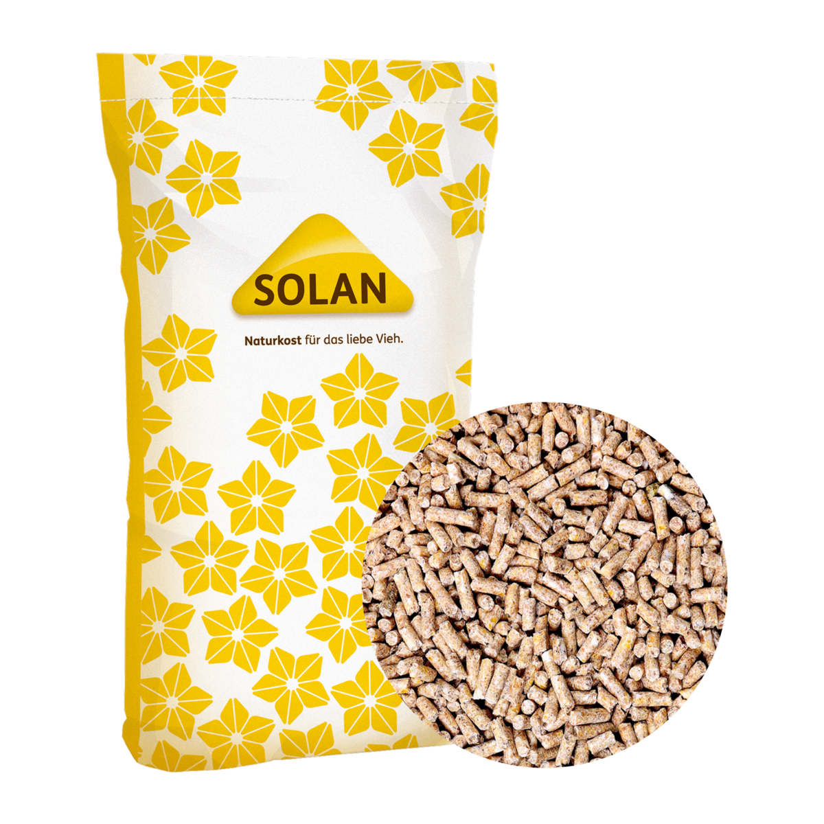 SOLAN 45
