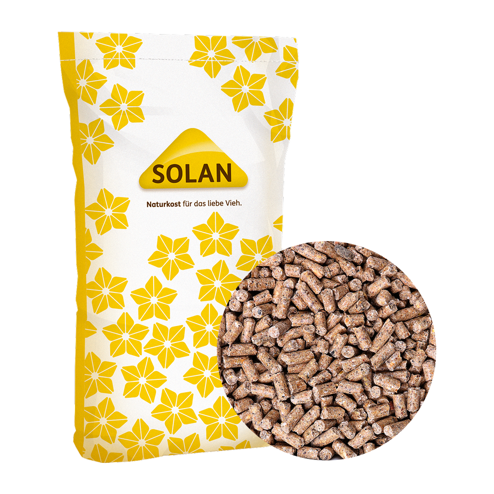 SOLAN 95