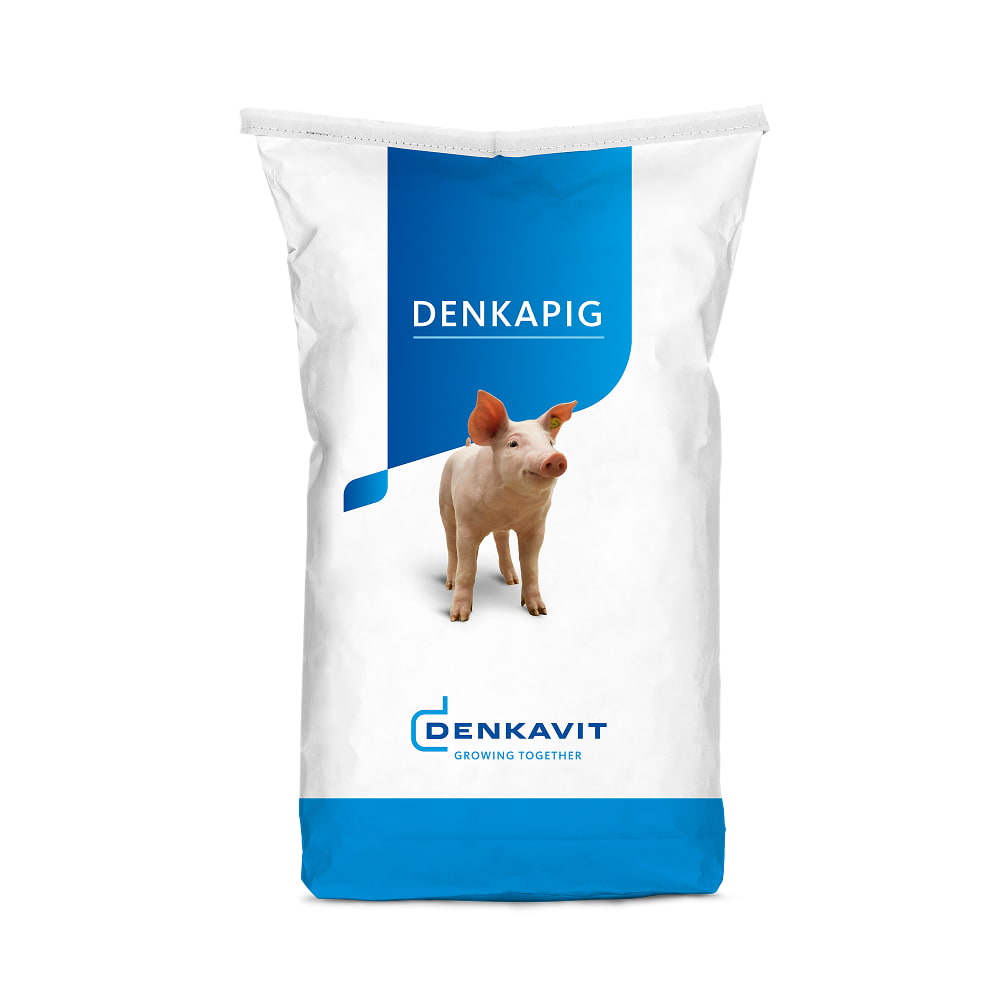 DENKAPIG Prestarter