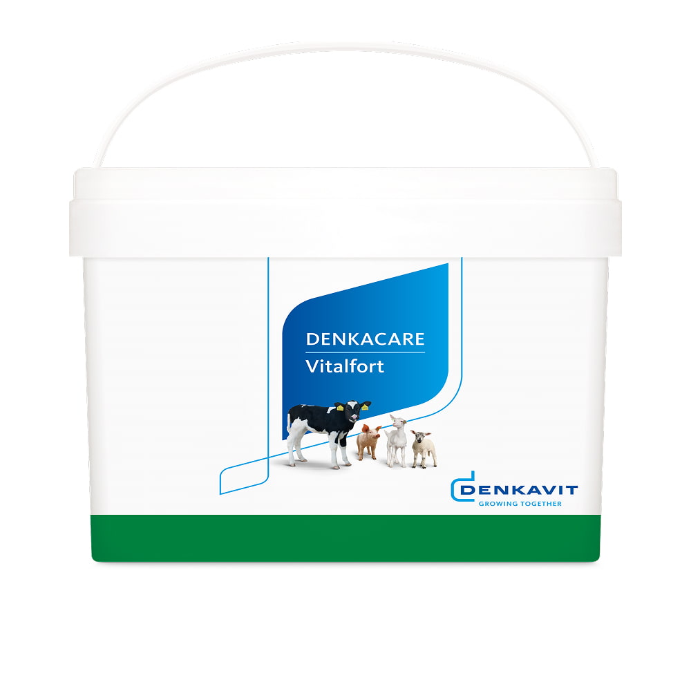 Denkacare Vitalfort Elektrolyttränke (551)