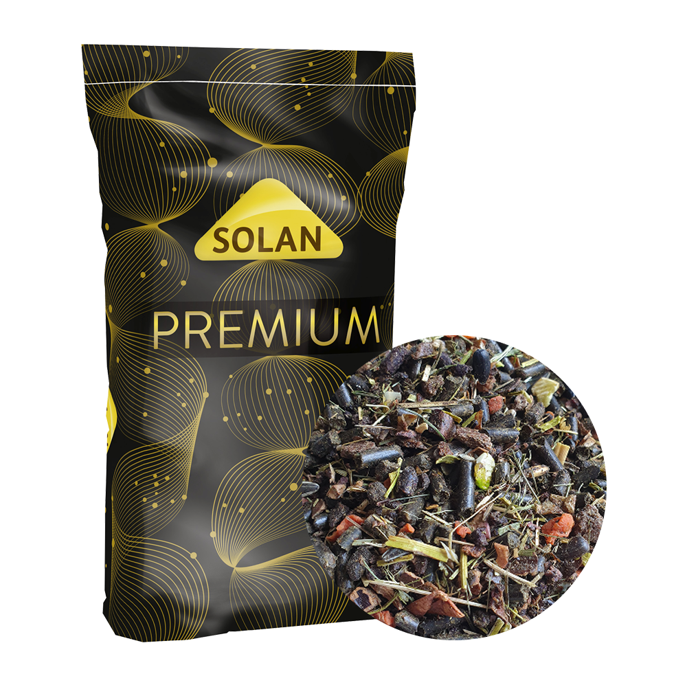 SOLAN 583 KornLos 